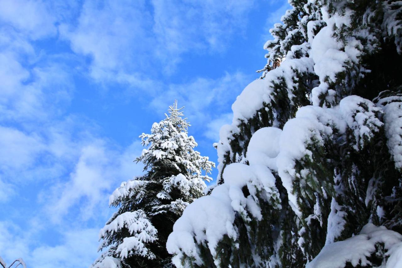 Komfortowy Dom W Chmurach Chalet *
