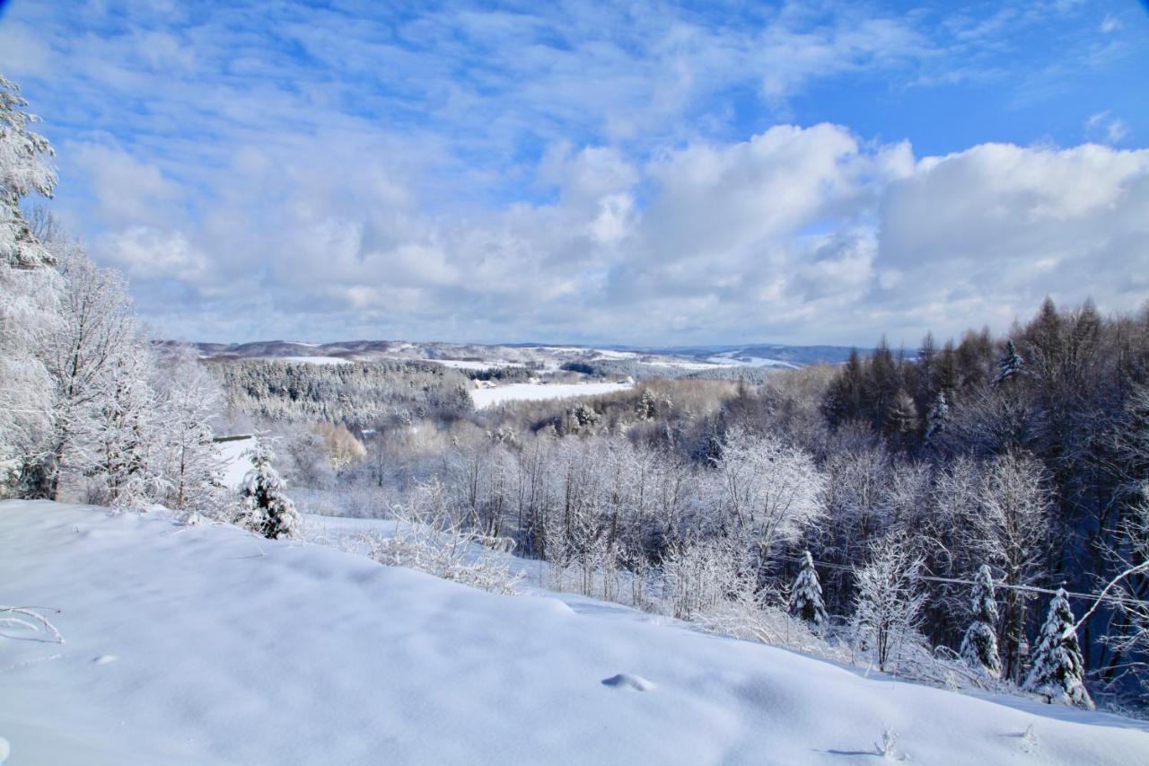 Chalet Komfortowy Dom W Chmurach Dydnia