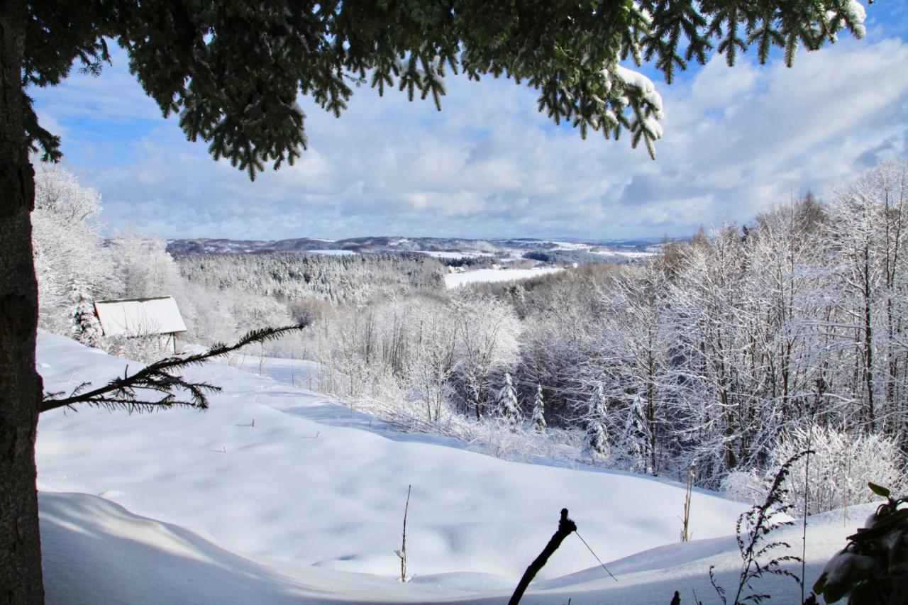 Komfortowy Dom W Chmurach Chalet *