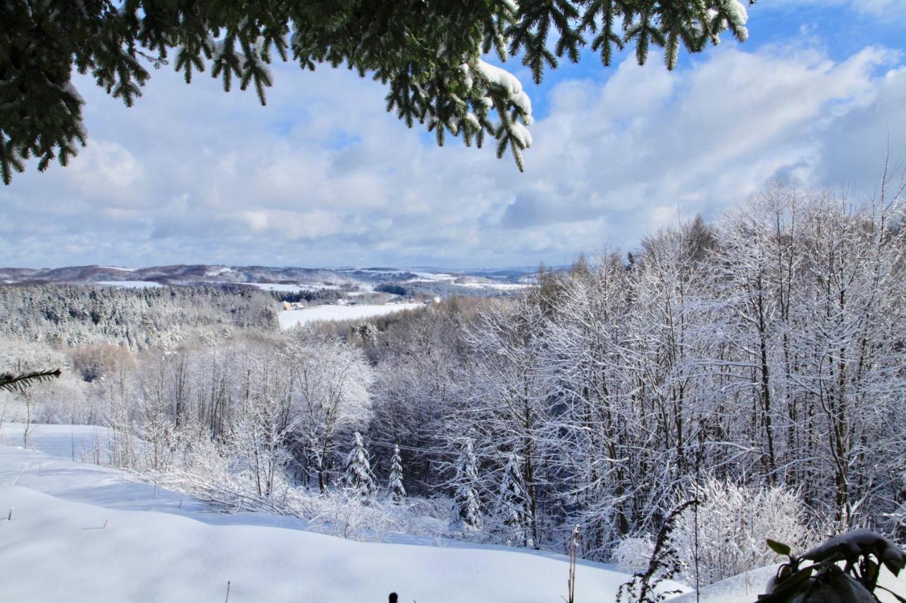 Komfortowy Dom W Chmurach Chalet Dydnia