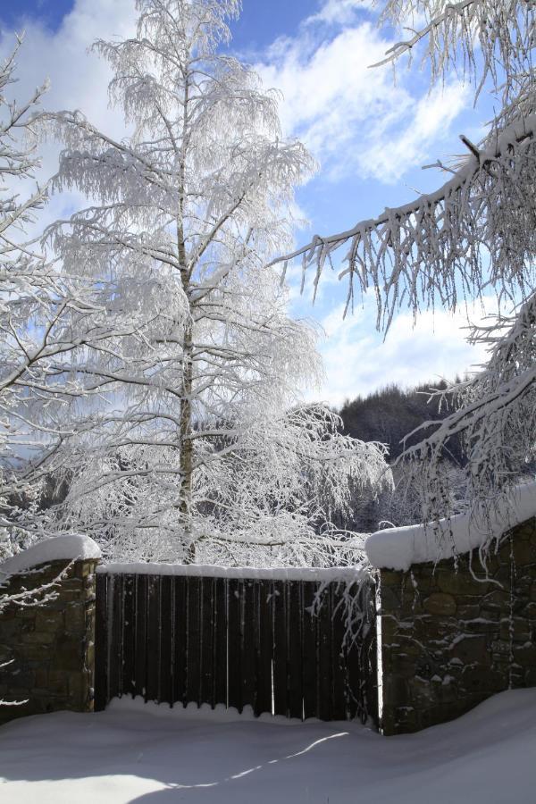 Komfortowy Dom W Chmurach Chalet